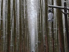 -山王坪喀斯特国家生态公园