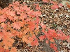 -丹东天桥沟景区