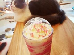 -飞行喵MR PILOT|猫舍·猫咖(静安大融城店)
