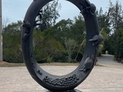 -广东惠东海龟国家级自然保护区