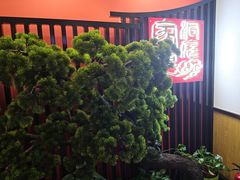 -洞庭家宴·头牌甲鱼(广渠门店)