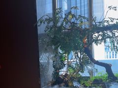 -海立阁海鲜江浙菜(漕河泾印象城店)