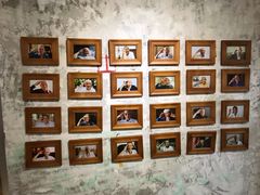 -地瓜社区(安苑北里小区店)