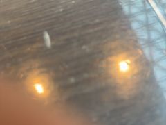 -阿大排档(长春这有山店)