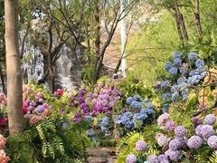 -沂蒙云瀑洞天景区