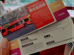 -BUS TOUR观光巴士