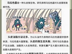 -中国农业大学(西校区)