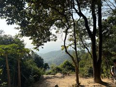 -火炉山森林公园