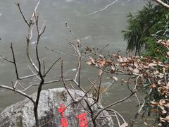 -刘伯温故里景区百丈漈