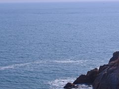 -广东惠东海龟国家级自然保护区