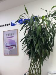 -天津伊美尔医疗整形美容专科医院