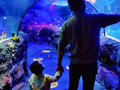 -沈阳海洋探索中心