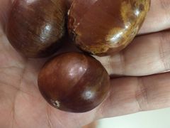 -邢记板栗(铜陵二店)