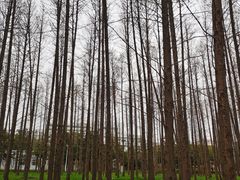 -上海交通大学闵行校区-包玉刚图书馆