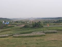 -空港花田景区