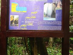 -雁荡山三折瀑景区