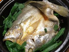 石锅黃花鱼-小郭私房菜·海肠捞饭店(学士街店)