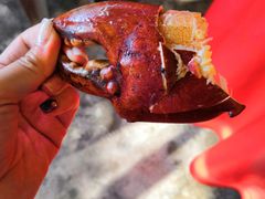 -大树下海鲜饭店