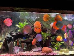 -上海海洋水族馆