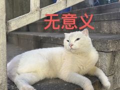 -大风老火锅(江北一店)