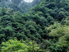 -西岭雪山大飞水景区