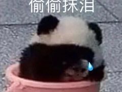 -滇香肴·云南菜蒸汽石锅鱼(云南北路店)