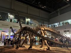 -自贡恐龙博物馆