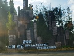 -碧峰峡风景区