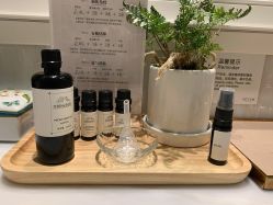 -奥斯芬欧系贵族SPA