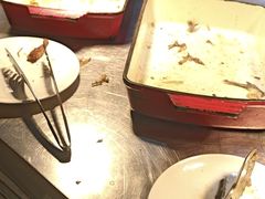 -廊坊固安福朋喜来登酒店