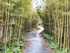-同里国家湿地公园
