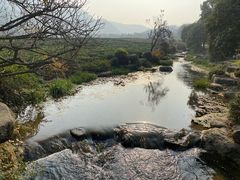 -中国茶叶博物馆(双峰馆区)