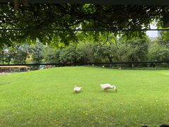 -硅谷蒙学幼儿园