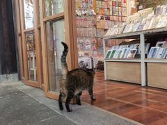 -猫的天空之城概念书店(杭州南宋御街店)