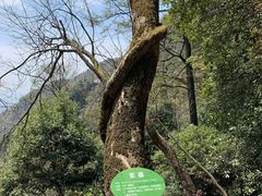 -东天目山风景区