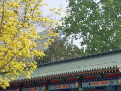 -莲花池公园