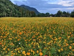 -贵阳市花溪国家城市湿地公园