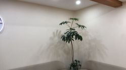 -HEYAN荷妍专业脱毛连锁机构