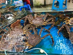 水产区-鸿港海鲜批发市场