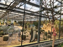 -南宫五洲植物乐园