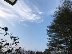 -城南花开咖啡(稻花村店)