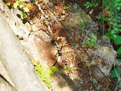 -磐安舞龙峡景区