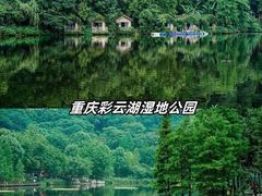 -重庆彩云湖湿地公园
