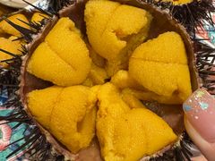 -桂马·日本料理·海胆·海鲜饭·酒场(民主广场店)