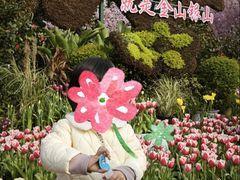 -南山植物园