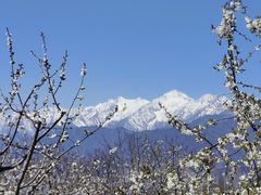 -萝卜寨羌文化生态旅游区