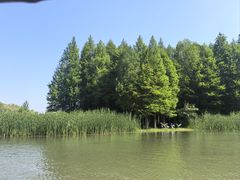-溱湖国家湿地公园