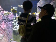 -成都浩海立方海洋公园