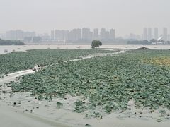 -云龙湖旅游景区