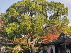 -惠山古镇·寄畅园